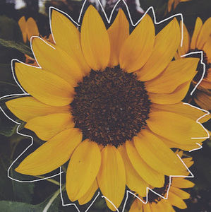 Meet your Posher, Kaylie